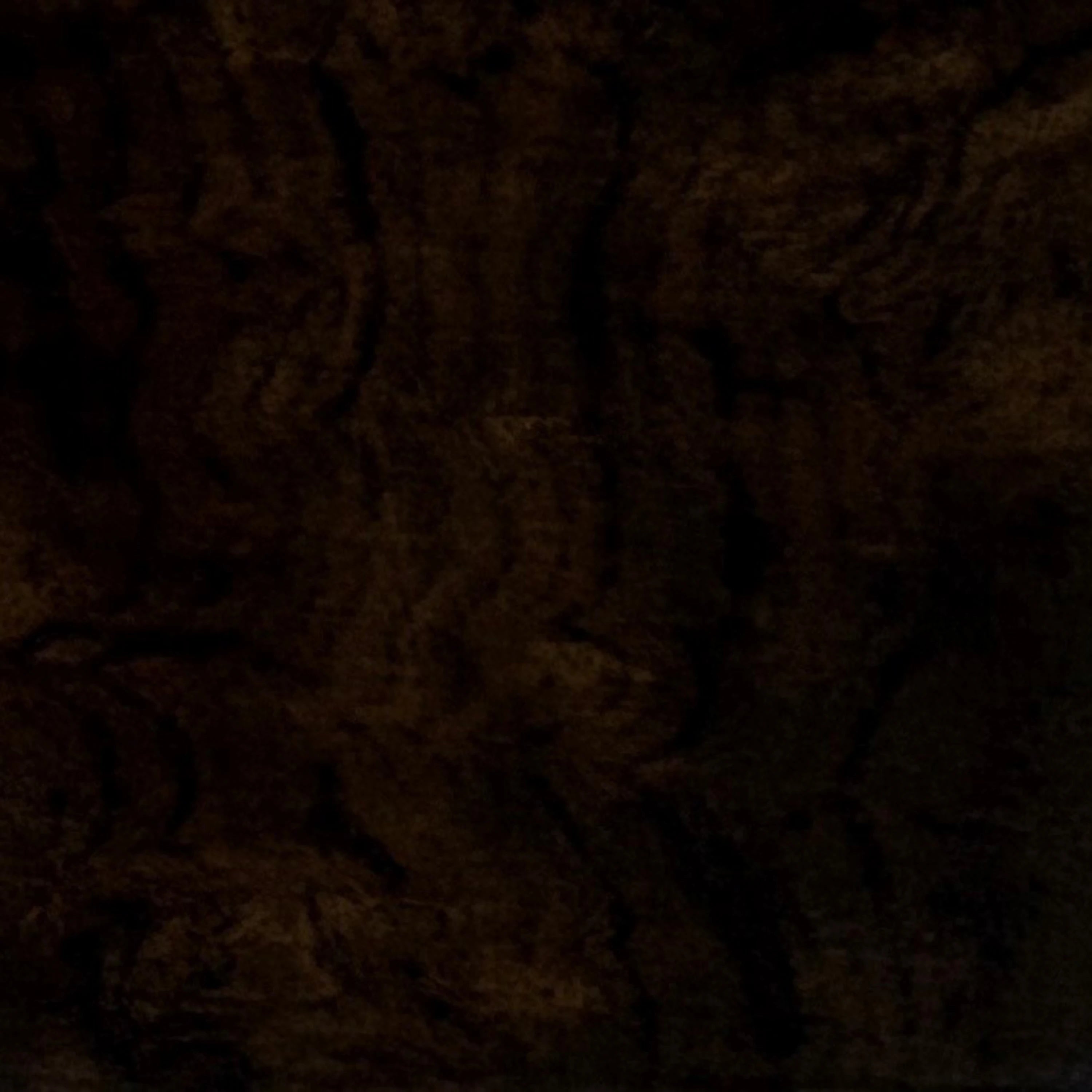 Galway Burl