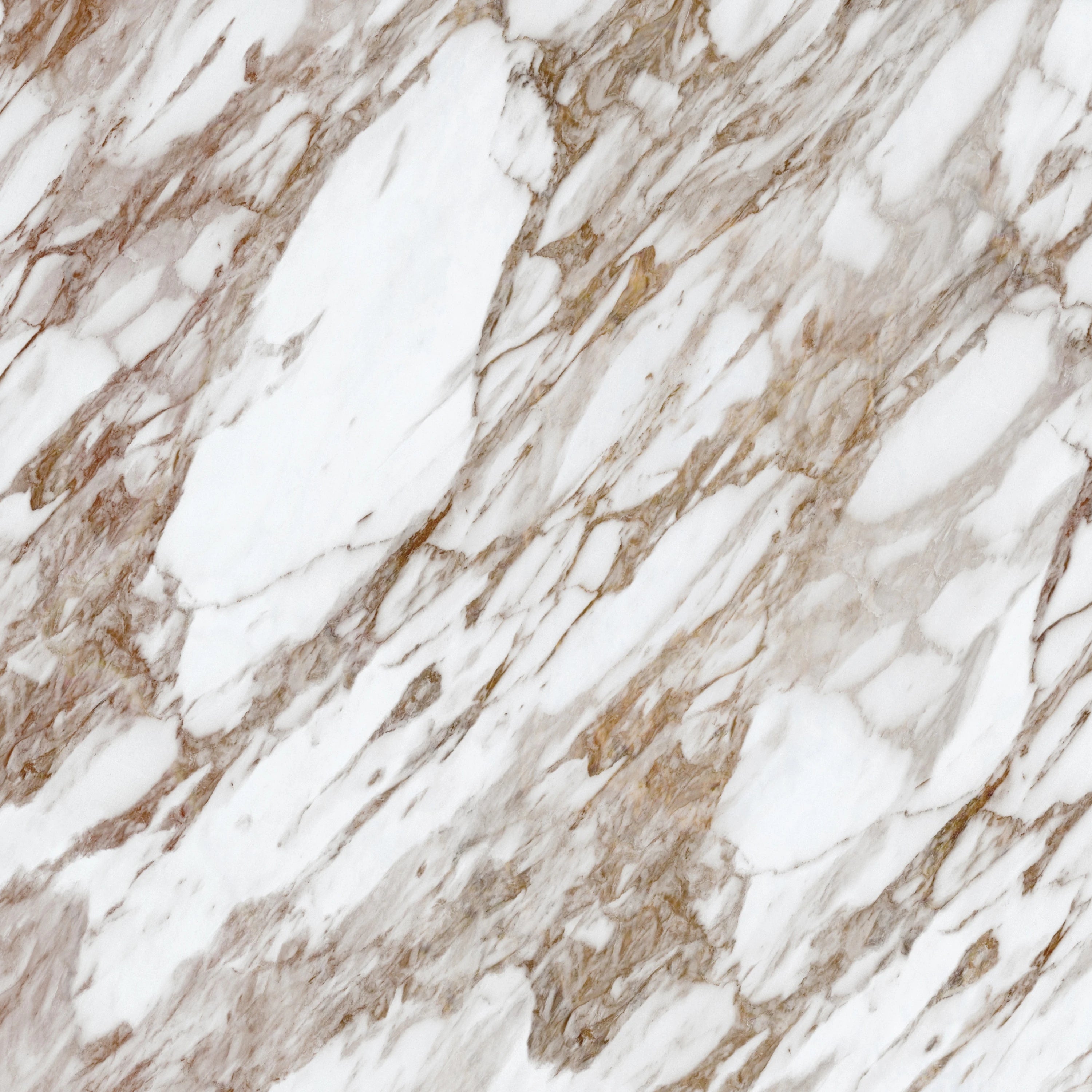 [finish]:Calacatta Oro