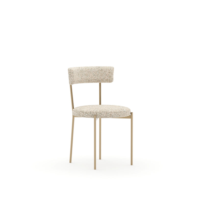 Moxie Dining Chair - Ivory