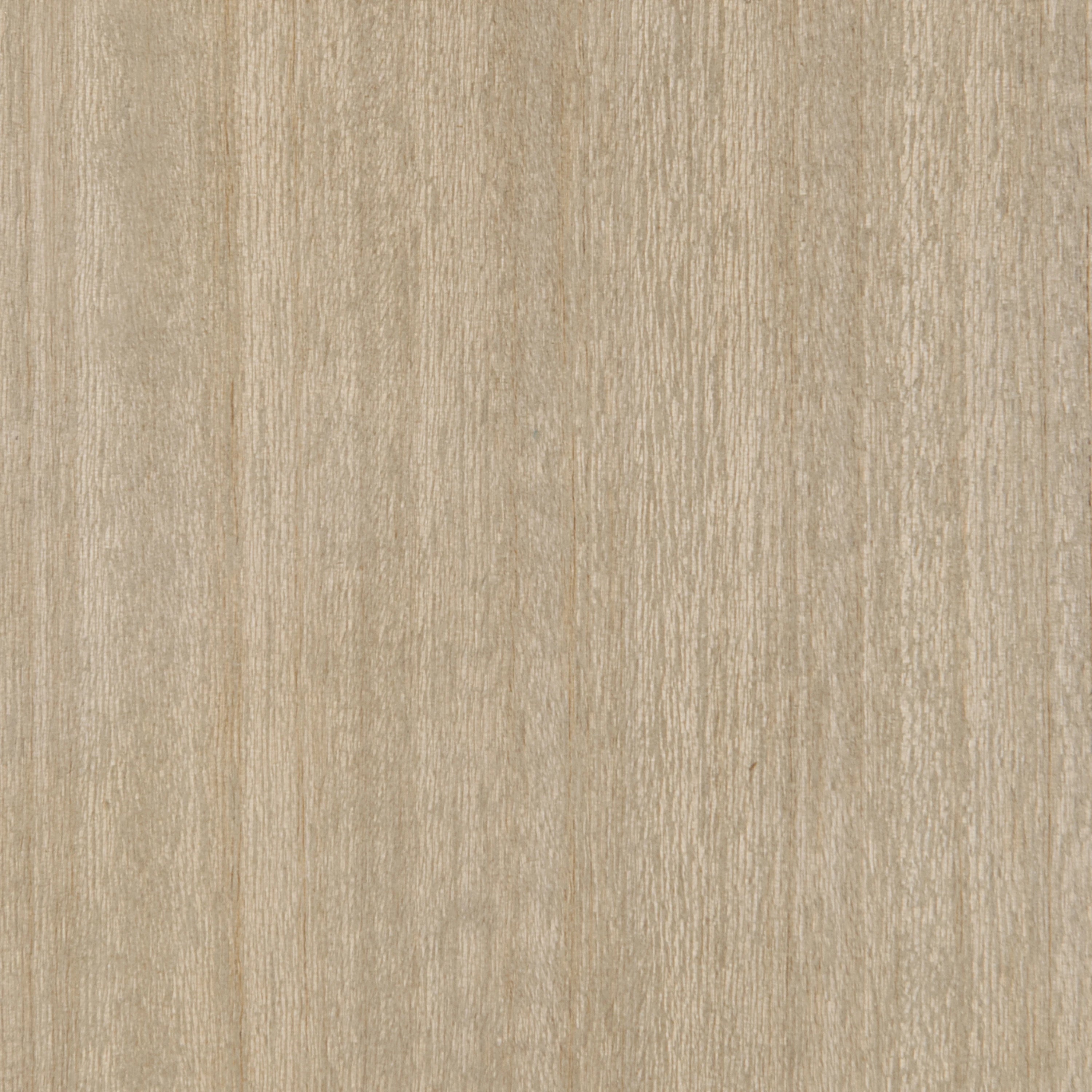 [finish]:Dry Martini