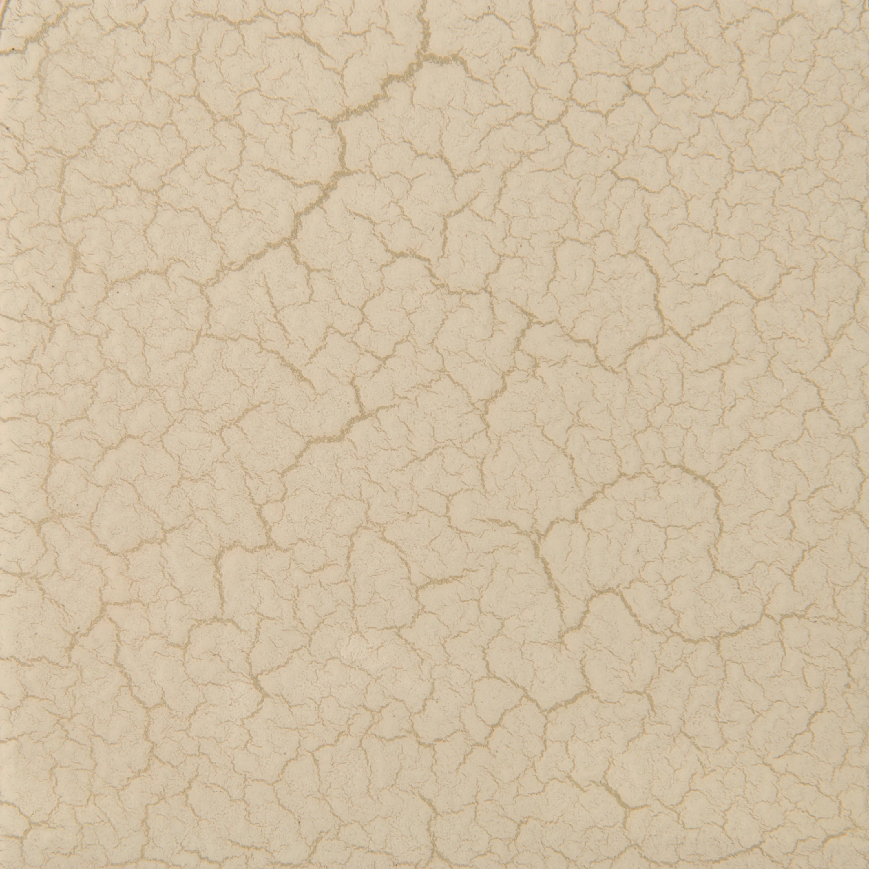 Ivory Craze