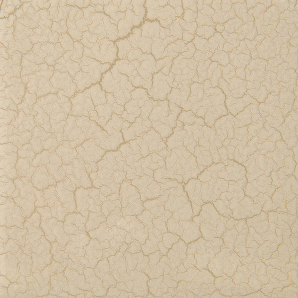 Ivory Craze