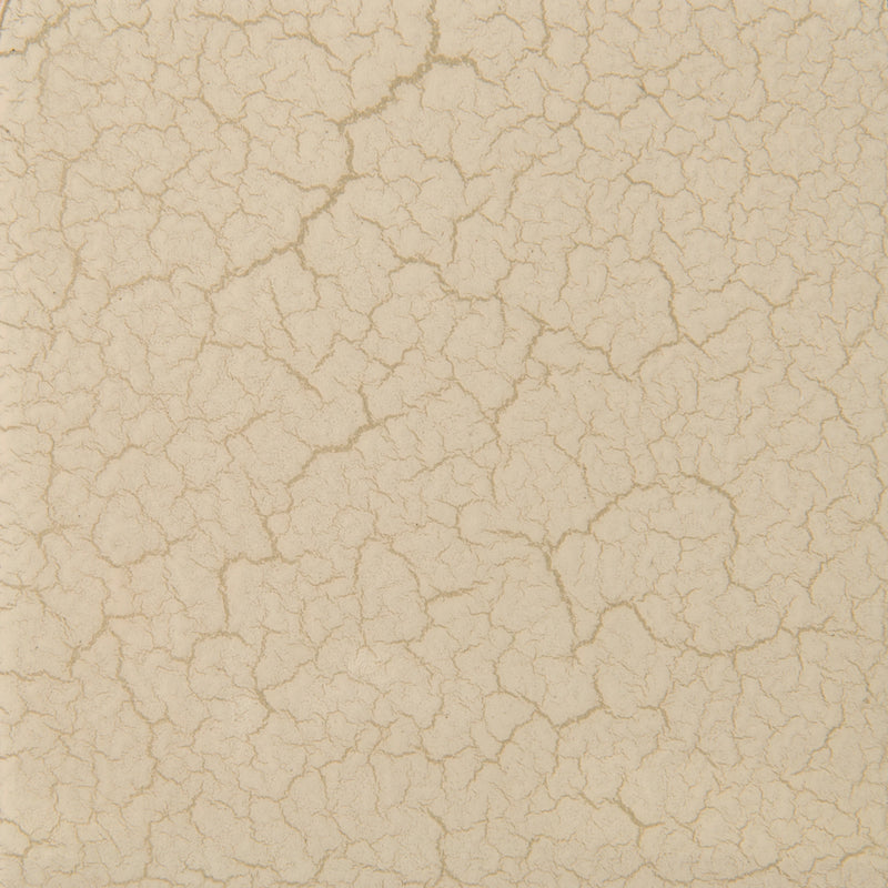Ivory Craze