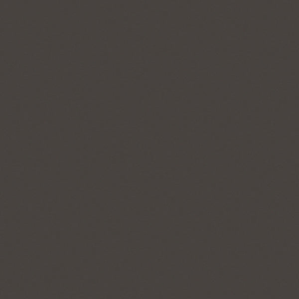 Warm Slate