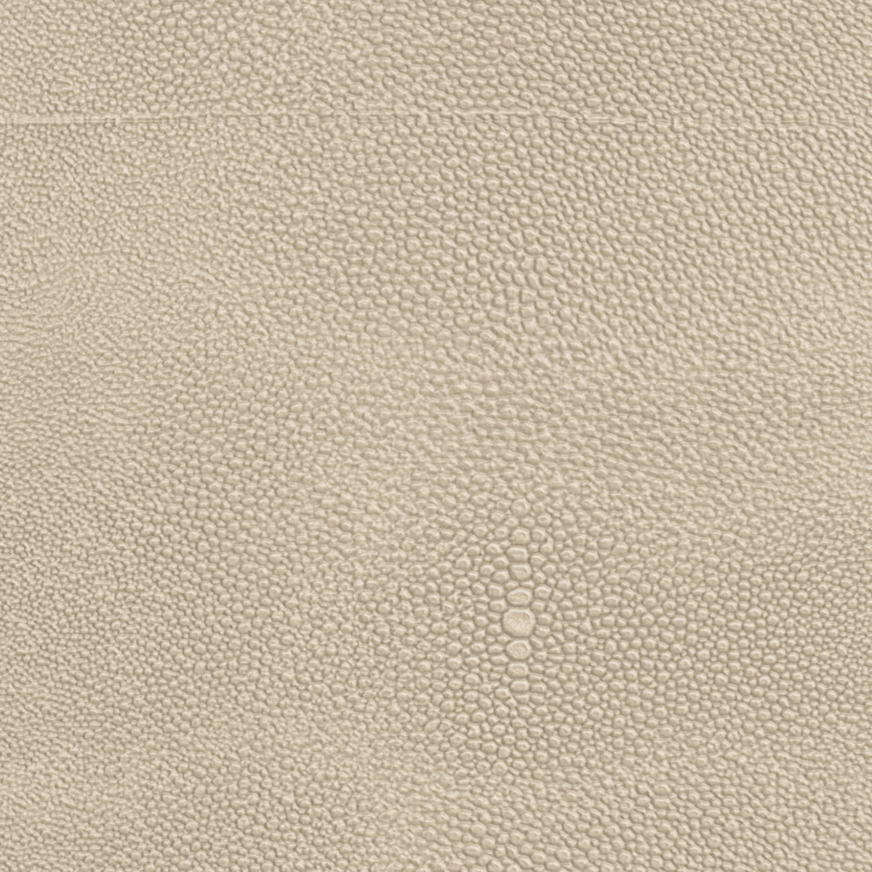 Ivory Painted Faux Shagreen