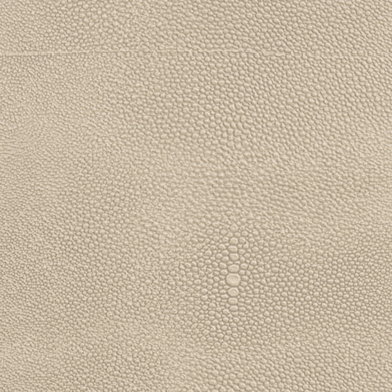 Ivory Painted Faux Shagreen