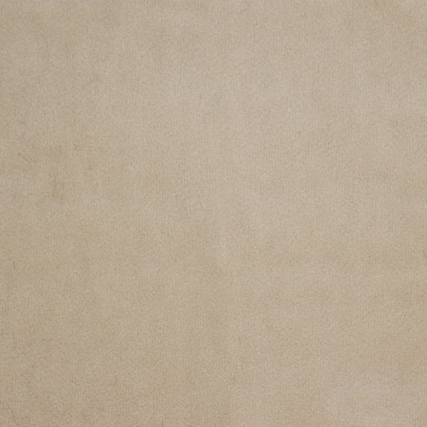 2788-77CC-P