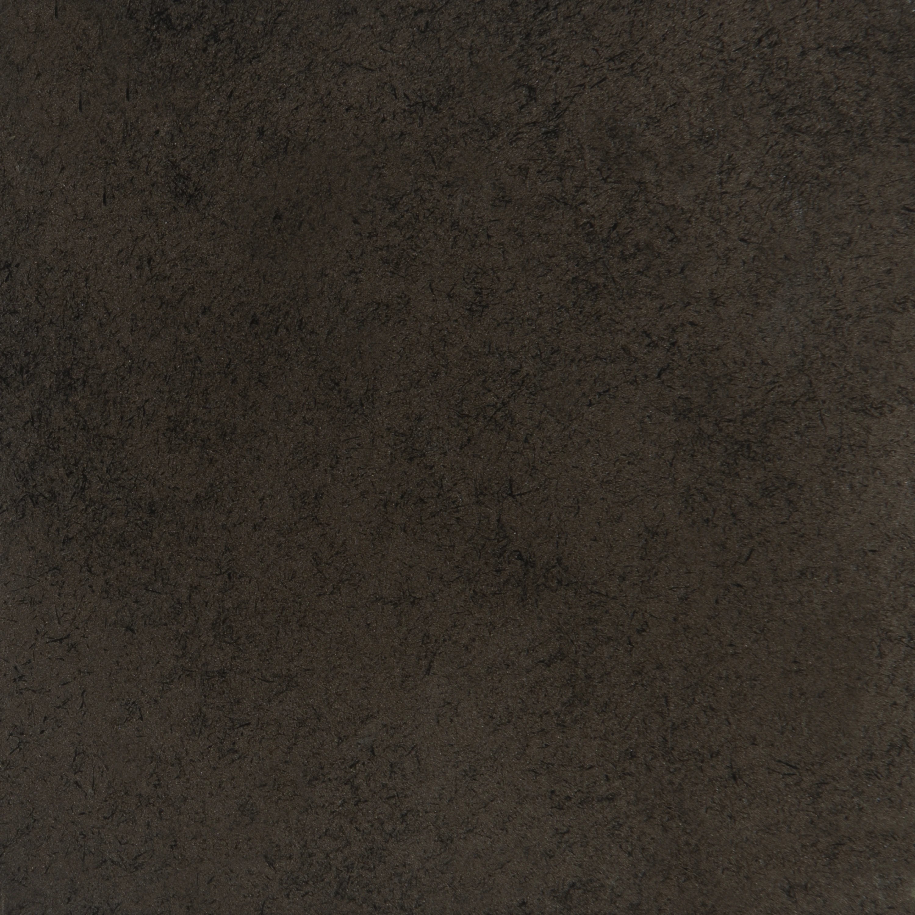 Craftsman Bronze