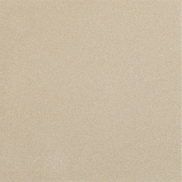 Soft Silver Paint Gloss