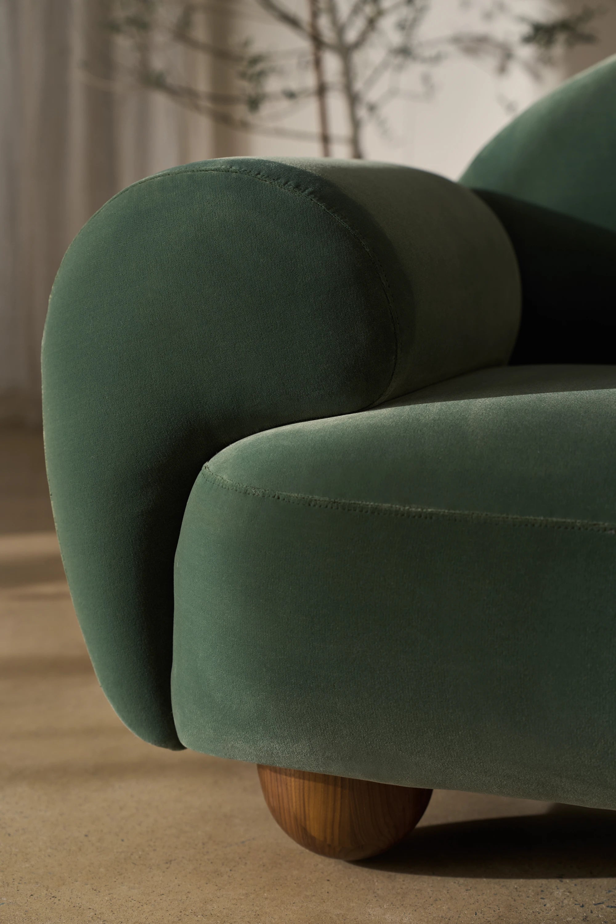 Cypress - detail 2.0